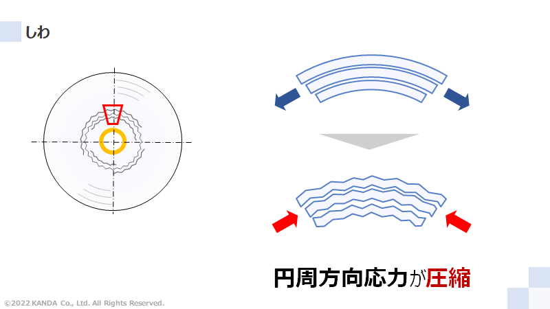 しわと円周方向応力の関係